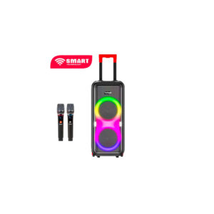🔊Haut-Parleur BOOM BOX STHP-2008E SMART TECHNOLOGY Bluetooth – USB – TF CARD – AUX – 2 Micros – Télécommande